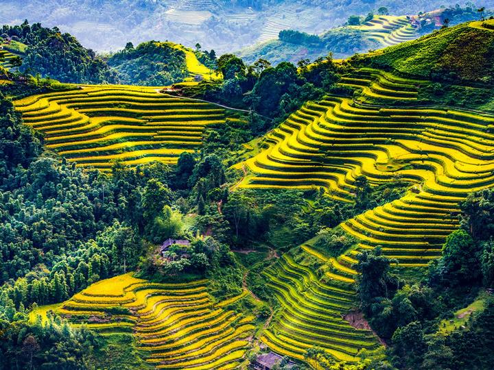 Hotspot Matrix: Biến Hoa hậu Ý Nhi lần đầu có phản thành cơ hội marketing đột phá