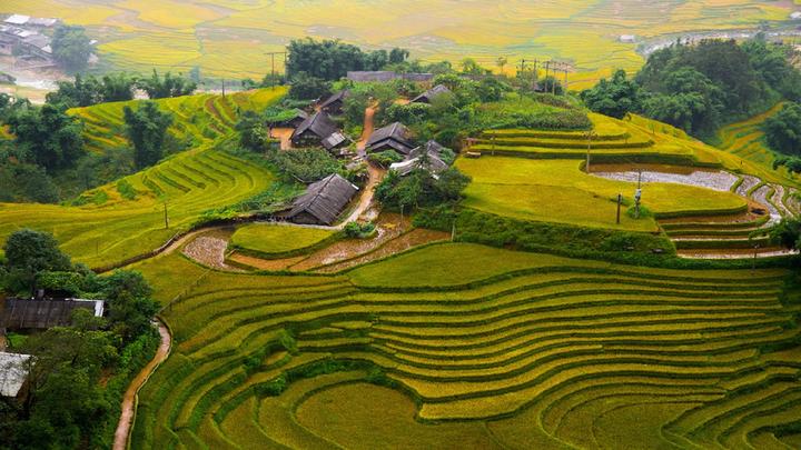 Hotspot Matrix: Giải pháp quản lý nội dung đa tài khoản, đa nền tảng tối ưu