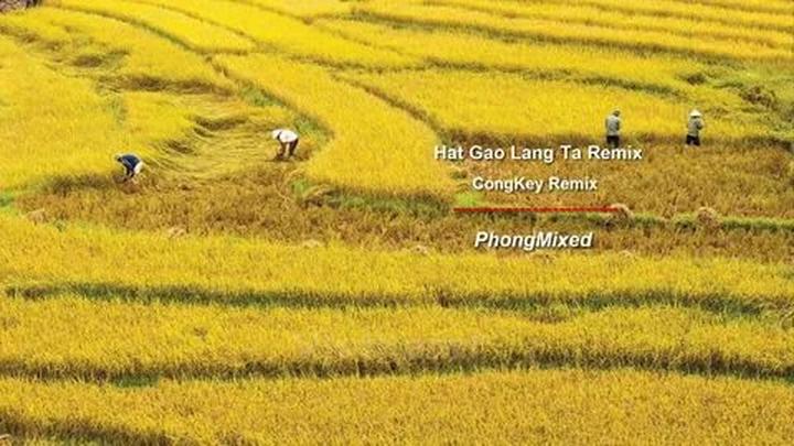 Gỗ và Video: Kết nối nghệ thuật truyền thống với công nghệ hiện đại