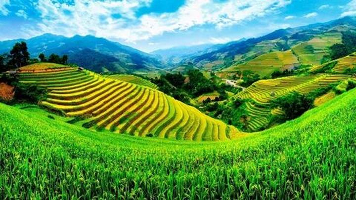 Triển lãm Dự án Nội Thất Ấn Tượng với Hotspot Matrix